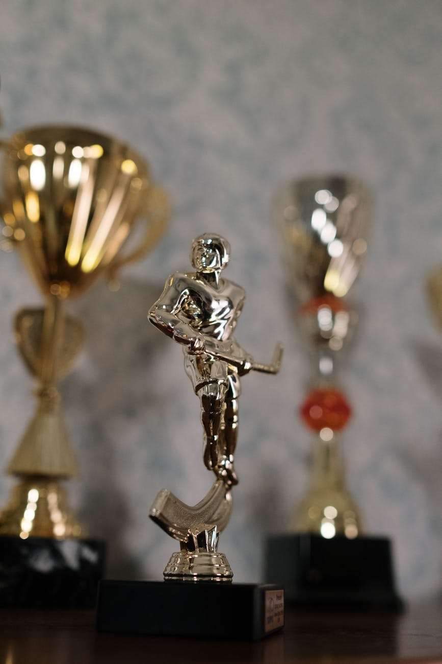close up photo of a hockey trophy